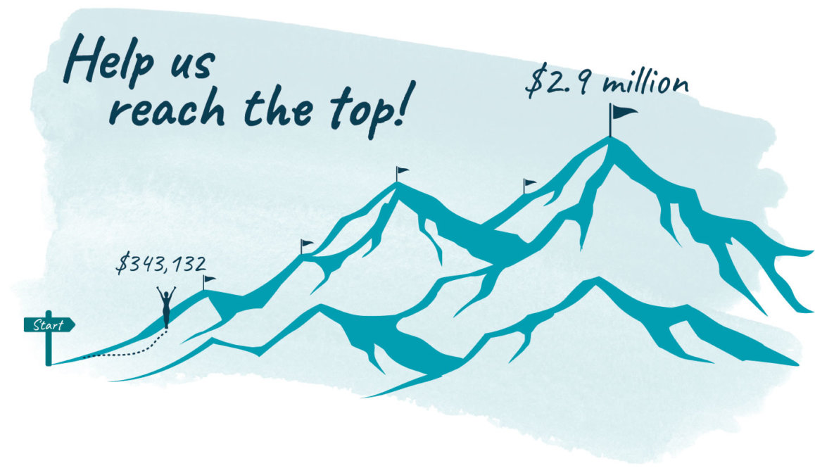 Mountain graphic showing donation progress toward $2.9 million goal