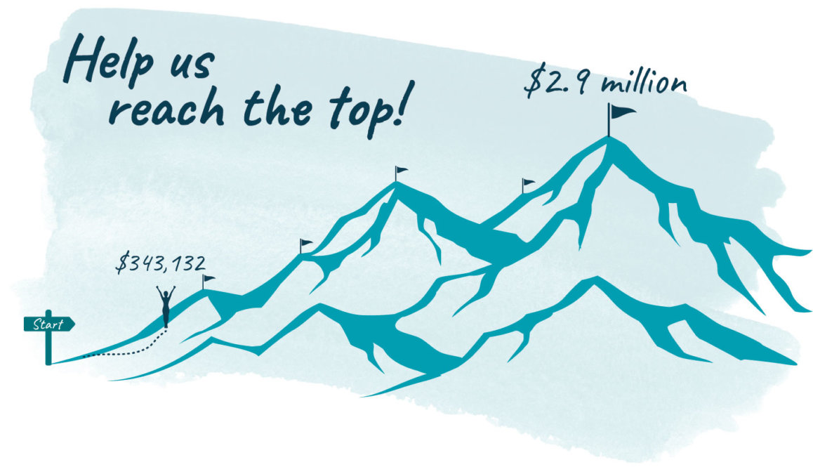 Mountain graphic showing donation progress toward $2.9 million goal