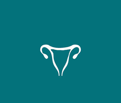 Uterus icon