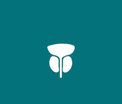 Prostate icon