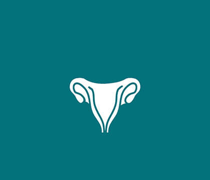 Uterus icon